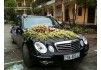 cho thuê xe cưới BMV 750 LI